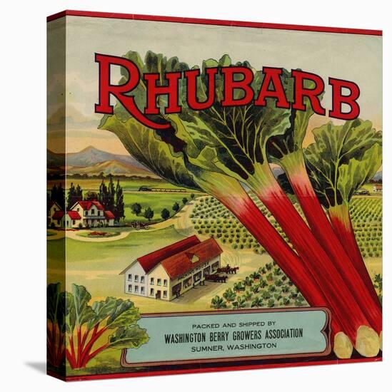 Fruit Crate Labels: Rhubarb; Packed and Shipped by Washington Berry Growers Association-null-Stretched Canvas