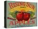 Fruit Crate Labels: Rising Sun Fancy Apples; F.E. Nellis and Company-null-Stretched Canvas