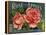 Fruit Crate Labels: Rose Brand Apples; Wenatchee Produce Company-null-Stretched Canvas