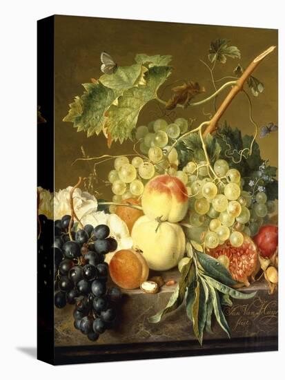Fruit, Hazelnuts and Hollyhocks on a Marble Ledge-Jan van Huysum-Premier Image Canvas