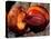Fruit of Wild Nutmeg, Barro Colorado Island, Panama-Christian Ziegler-Premier Image Canvas