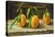 fruit on a shelf-Cristiana Angelini-Premier Image Canvas