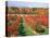 Fruit Orchard in the Fall, Columbia County, NY-Barry Winiker-Premier Image Canvas