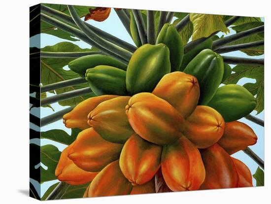 Fruit-Eduardo Camoes-Premier Image Canvas