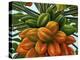 Fruit-Eduardo Camoes-Premier Image Canvas