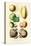 Fruits and Nuts. Mammee, Pawpaw, Soursop, Negro Peach, Granadilla, Brazil Nut, Zabucajo-William Rhind-Stretched Canvas