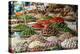 Fruits and Vegetables Stall at a Market in the Old Quarter, Hanoi, Vietnam, Indochina-Yadid Levy-Premier Image Canvas