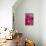 Fuchsia Peonies II-Karyn Millet-Stretched Canvas displayed on a wall