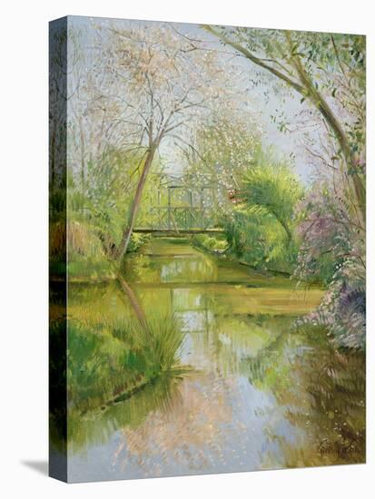 Full Blossom-Timothy Easton-Premier Image Canvas