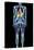 Full Body Scan, MRI Scan-Volker Steger-Premier Image Canvas