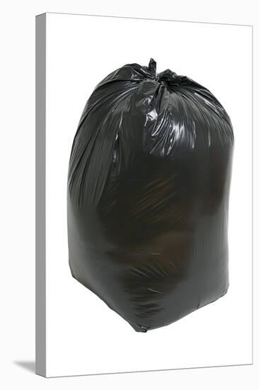 Full Dustbin Bag-Victor De Schwanberg-Premier Image Canvas