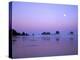 Full moon above seastacks, Olympic National Park, Washington, USA-Charles Gurche-Premier Image Canvas