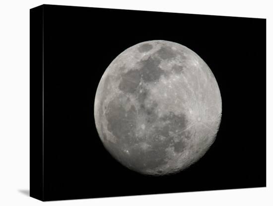 Full Moon in Black and White-Arthur Morris-Premier Image Canvas