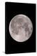 Full Moon In the Night Sky-David Nunuk-Premier Image Canvas