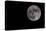 Full Moon Isolated on a Black Sky-Steve Collender-Premier Image Canvas
