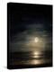 Full Moon Over Ocean-Ruth Day-Premier Image Canvas