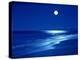 Full Moon Over the Sea-null-Premier Image Canvas
