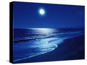 Full Moon Over the Sea-null-Premier Image Canvas