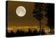 Full Moon Over Vancouver-David Nunuk-Premier Image Canvas