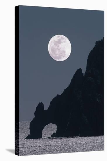 Full Moon Rising Over a Coastal Cliff-David Nunuk-Premier Image Canvas