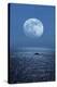 Full Moon Rising Over the Sea-Detlev Van Ravenswaay-Premier Image Canvas