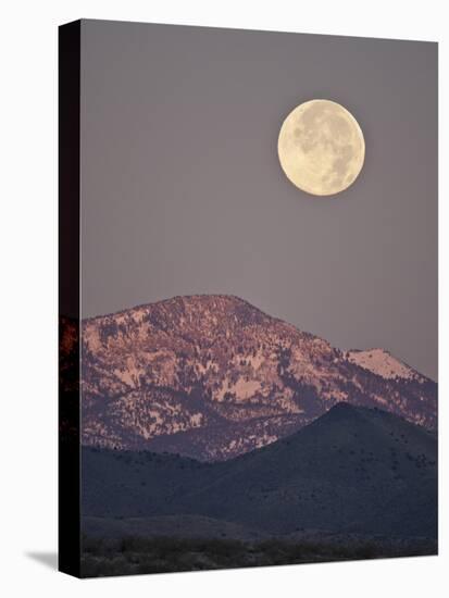 Full Moon Setting over Snow-Covered Magdelena Mountains at Socorro, New Mexico, USA-Larry Ditto-Premier Image Canvas