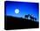 Full Moon, Super Moon, Yellowstone National Park, Wyoming-Maresa Pryor-Premier Image Canvas