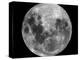 Full Moon-Stocktrek Images-Premier Image Canvas