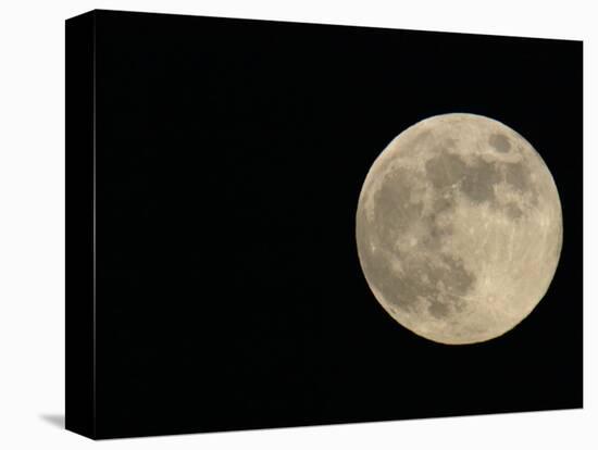 Full Moon-Arthur Morris-Premier Image Canvas