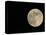 Full Moon-Arthur Morris-Premier Image Canvas