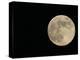 Full Moon-Arthur Morris-Premier Image Canvas