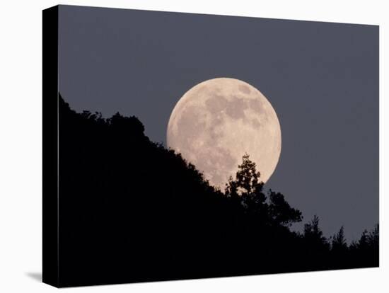 Full Moon-null-Premier Image Canvas