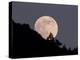 Full Moon-null-Premier Image Canvas