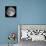 Full Moon-Stocktrek Images-Premier Image Canvas displayed on a wall