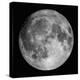 Full Moon-Stocktrek Images-Premier Image Canvas