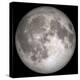 Full Moon-Stocktrek Images-Premier Image Canvas