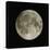 Full Moon-Eckhard Slawik-Premier Image Canvas