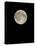 Full Moon-Eckhard Slawik-Premier Image Canvas