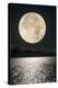 Full Moon-David Nunuk-Premier Image Canvas
