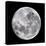 Full Moon-John Sanford-Premier Image Canvas