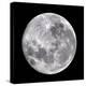 Full Moon-John Sanford-Premier Image Canvas