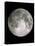 Full Moon-John Sanford-Premier Image Canvas