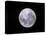 Full Moon-John Sanford-Premier Image Canvas