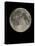 Full Moon-Eckhard Slawik-Premier Image Canvas