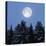 Full Moon-Detlev Van Ravenswaay-Premier Image Canvas