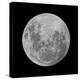 Full Moon-null-Stretched Canvas