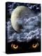 Full Moon-frenta-Stretched Canvas