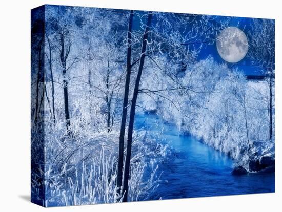 Full moon-Marco Carmassi-Premier Image Canvas