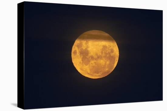 Full Supermoon, Lunar Perigee (Moons Closest Point to the Earth), New Zealand-David Wall-Premier Image Canvas