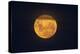 Full Supermoon, Lunar Perigee (Moons Closest Point to the Earth), New Zealand-David Wall-Premier Image Canvas